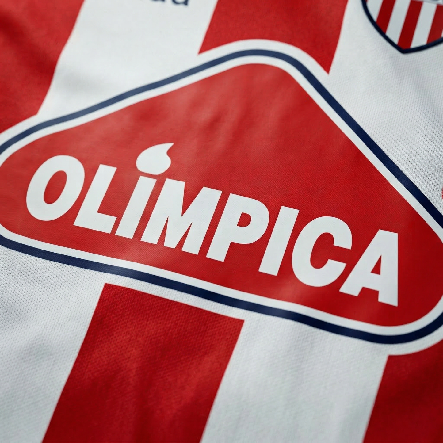DIDA OLIMPICA 86