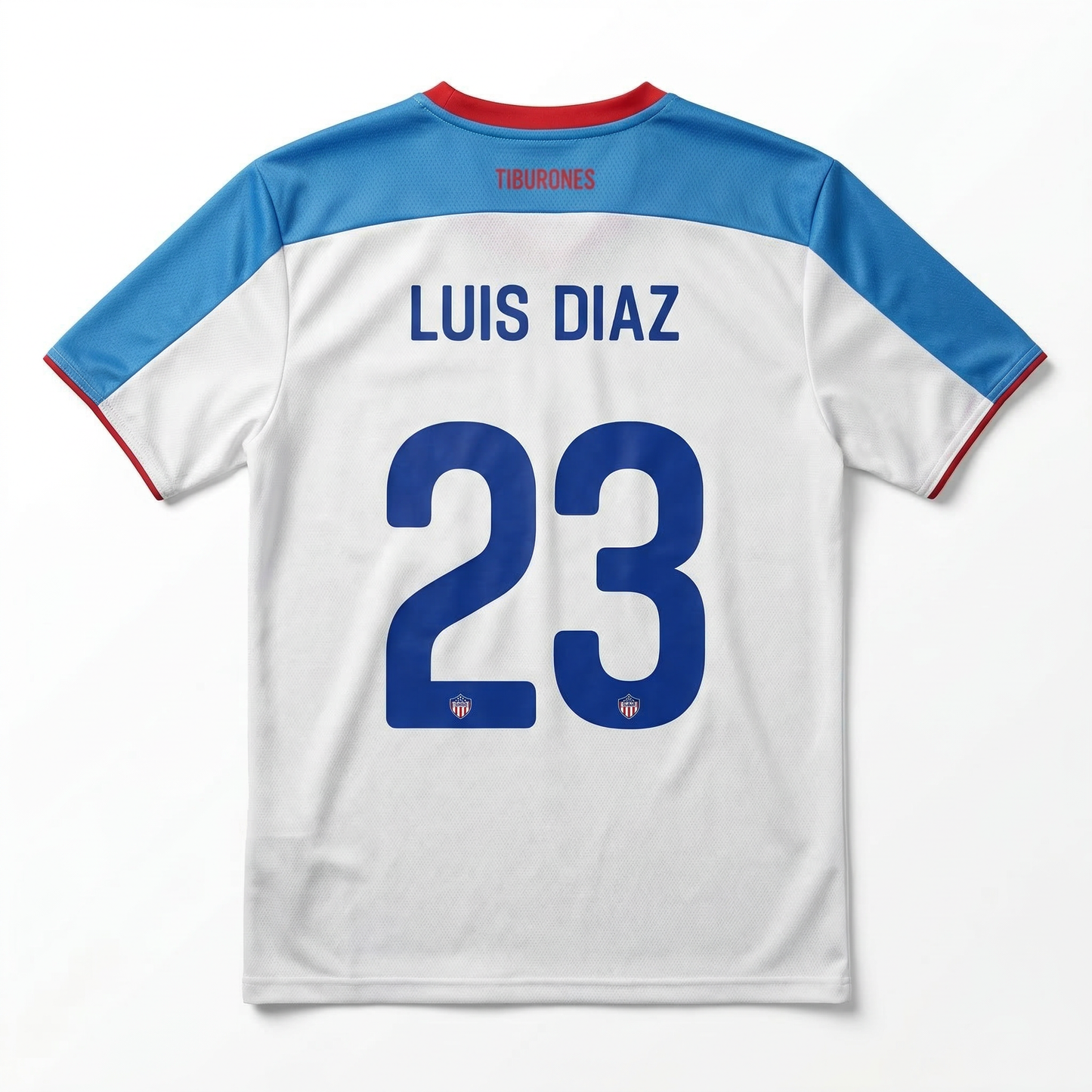 BICAMPEÓN 2019