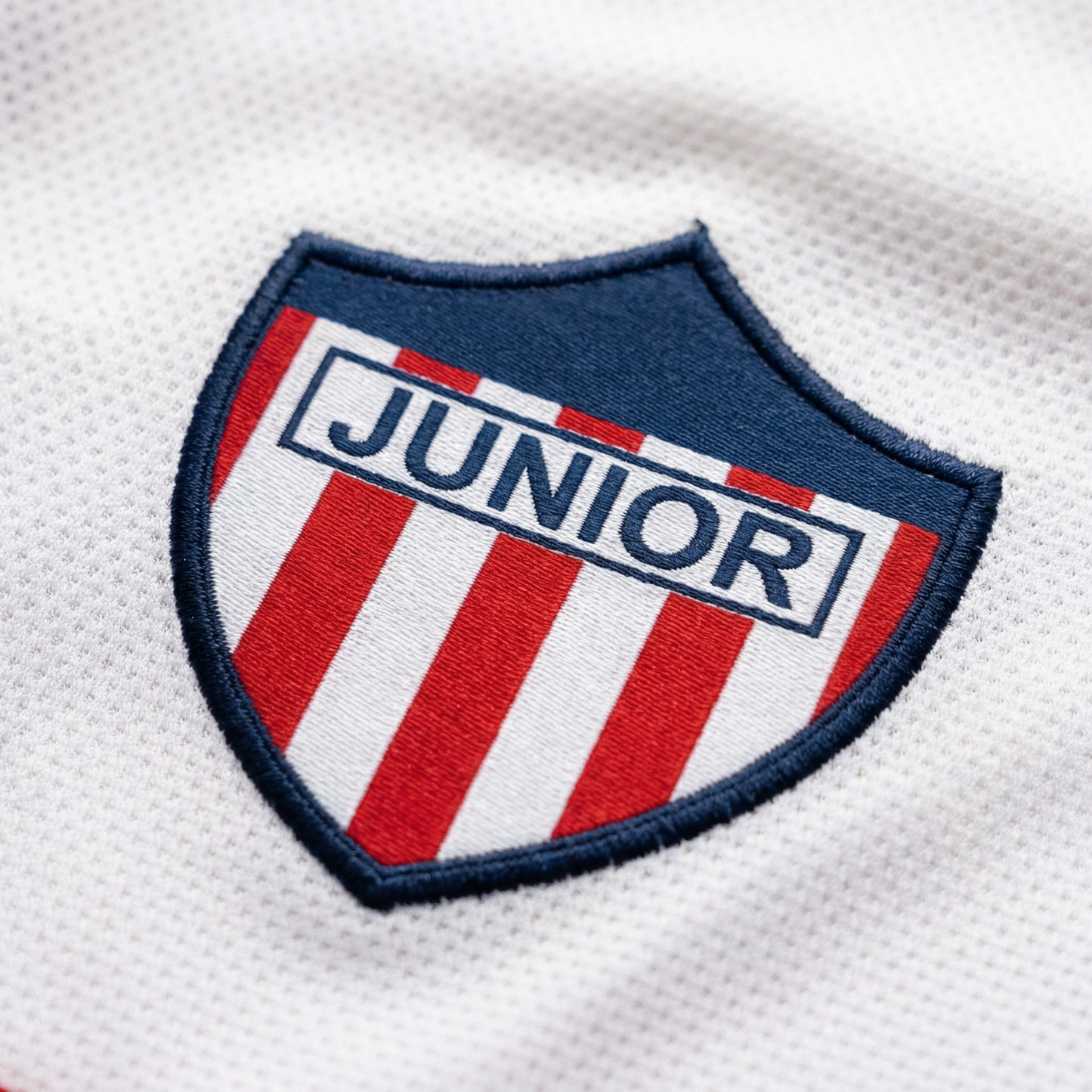 VERÓN 1976