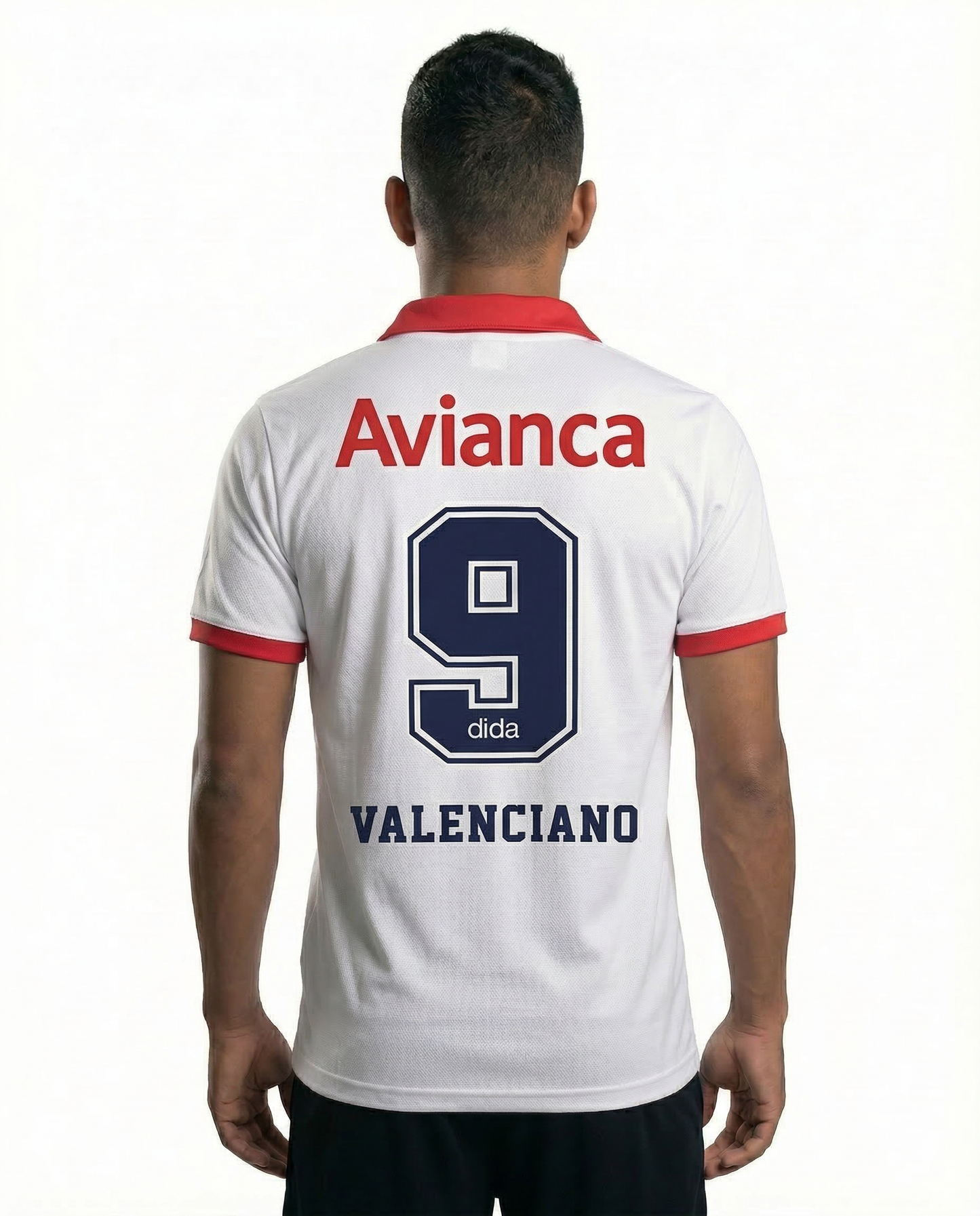 DIDA VISITANTE 1995
