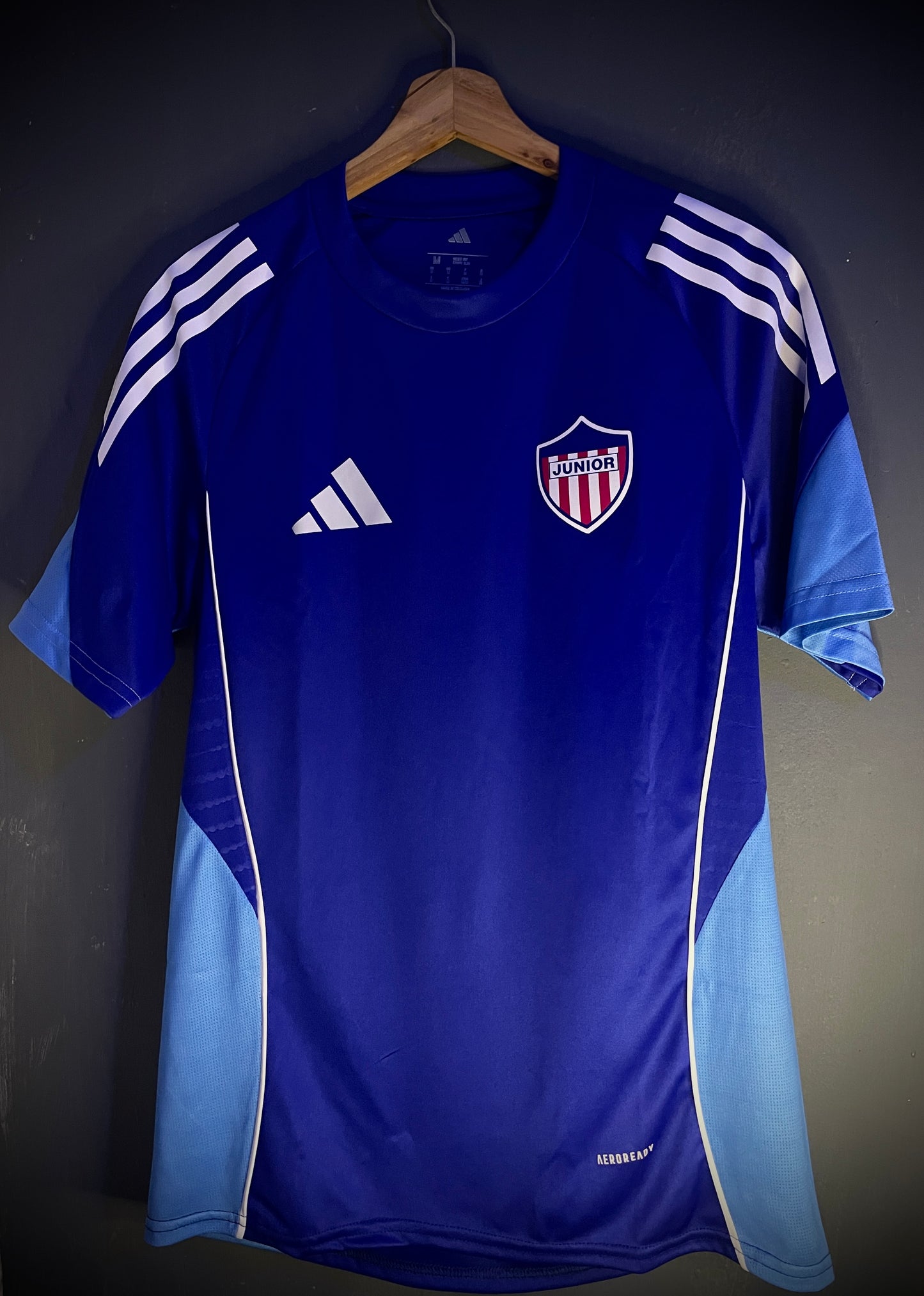 Camisa de entrenamiento 2025