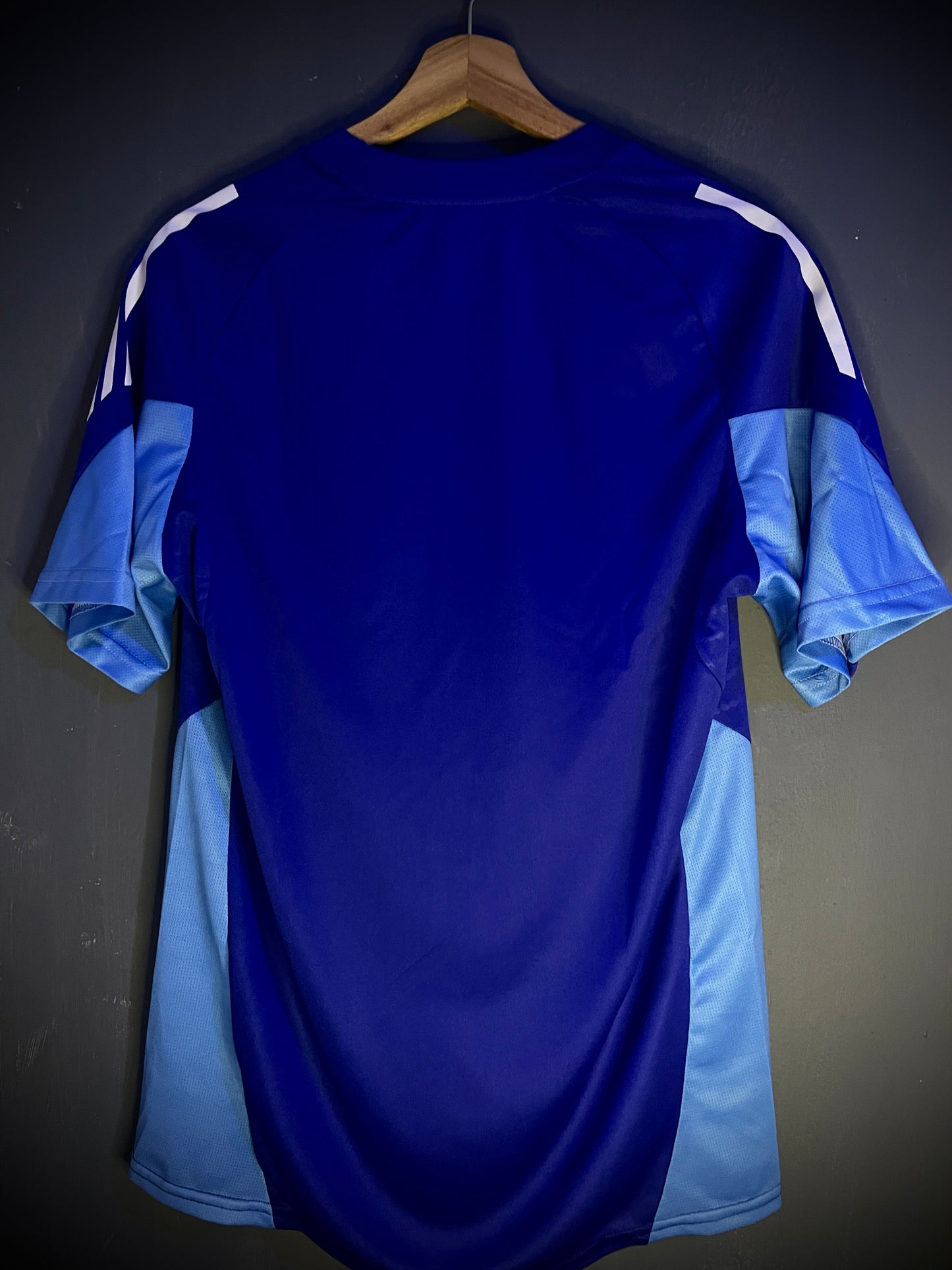 Camisa de entrenamiento 2025