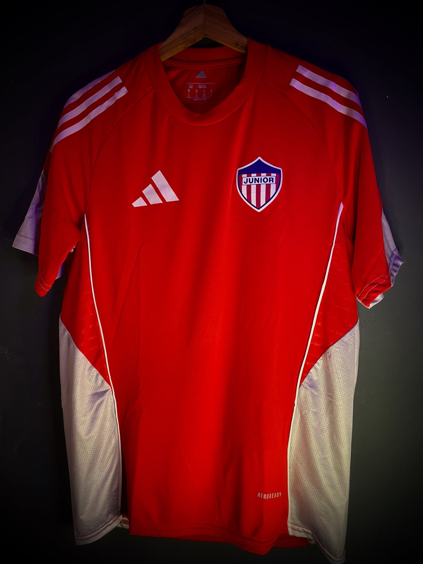 Camisa de entrenamiento 2025