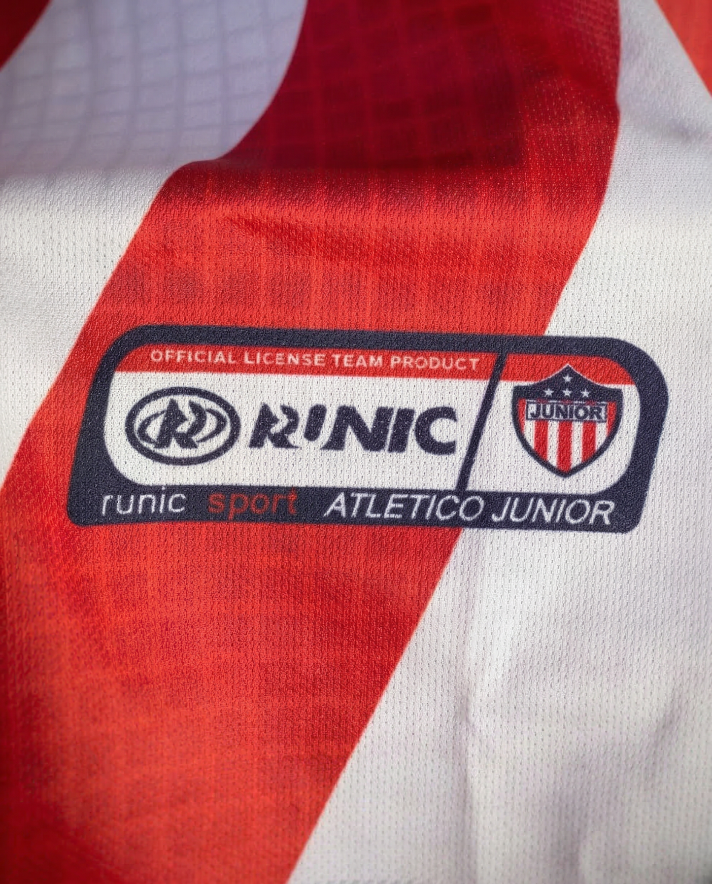 RUNIC 2003