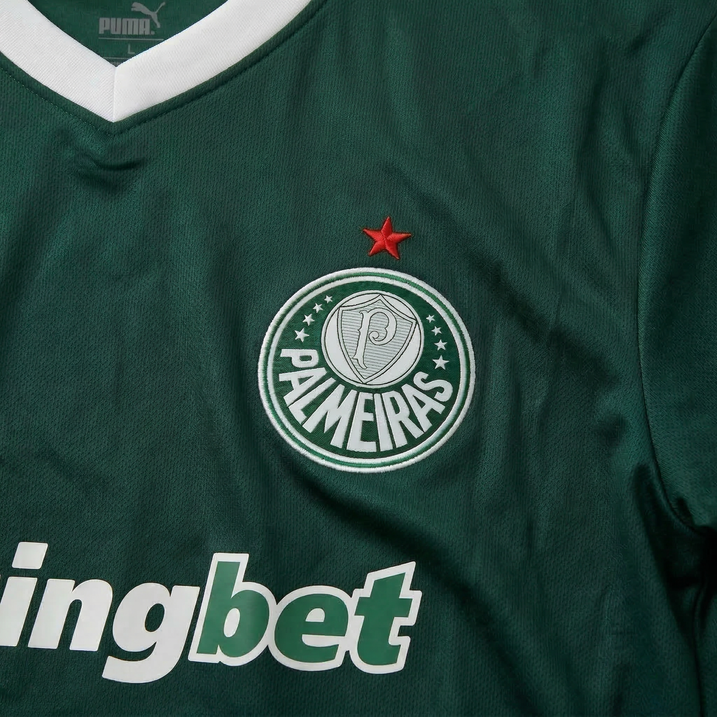 CONJ. PALMEIRAS 25/26