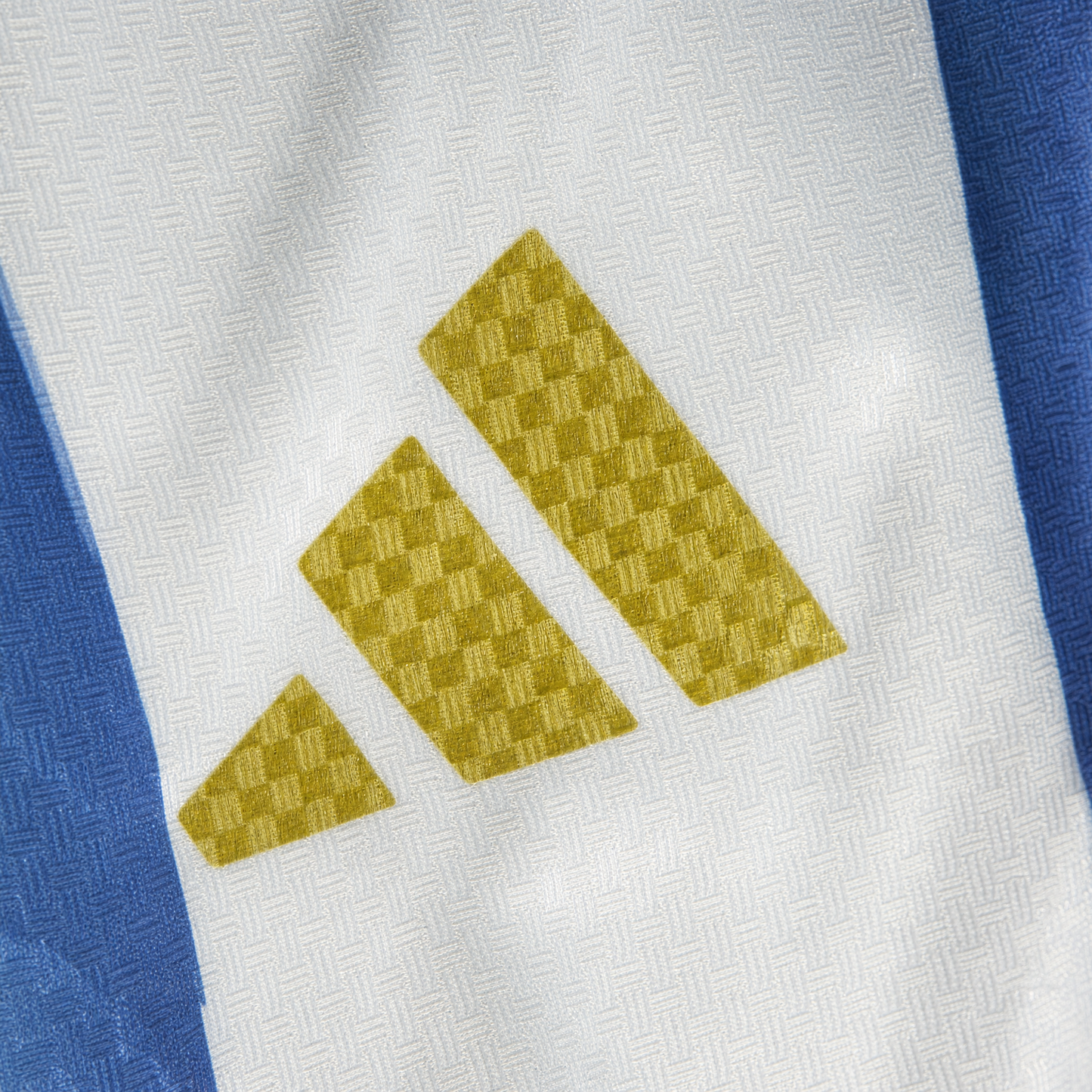 ARGENTINA LOCAL PLAYER 2026